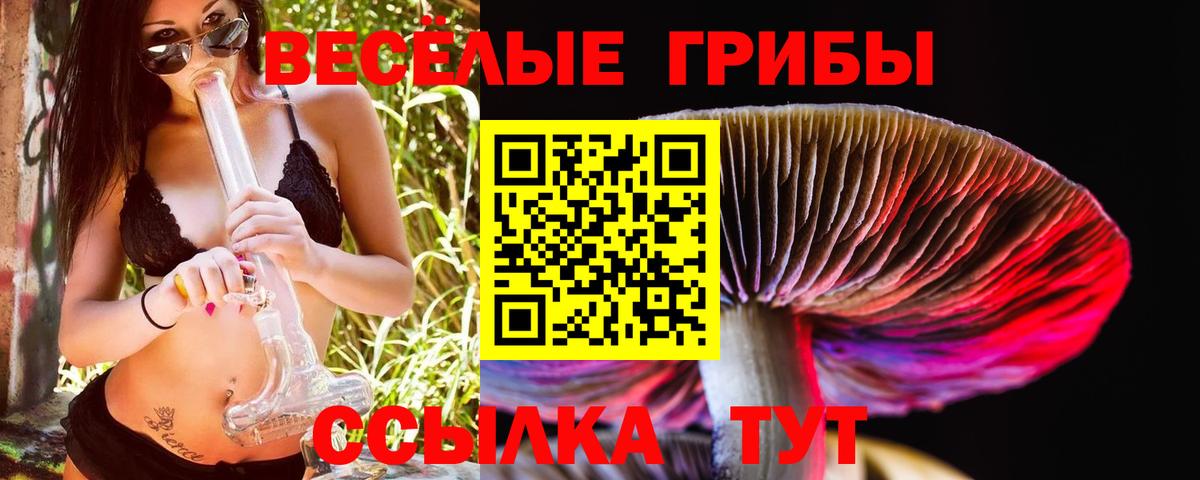 Галлюциногенные грибы ЛСД Абакан